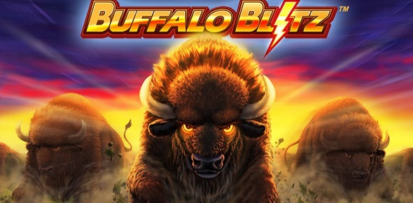 Buffalo Blitz