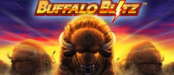 Buffalo Blitz 